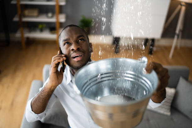 Best Water damage restoration experts  in Shamrock, TX