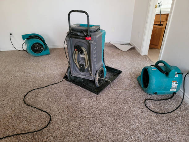 Professional Water damage restoration in Shamrock, TX