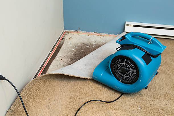 Best Emergency water damage restoration  in Shamrock, TX